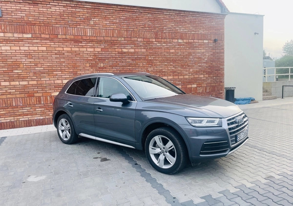 Audi Q5 cena 122800 przebieg: 65000, rok produkcji 2019 z Biała małe 667